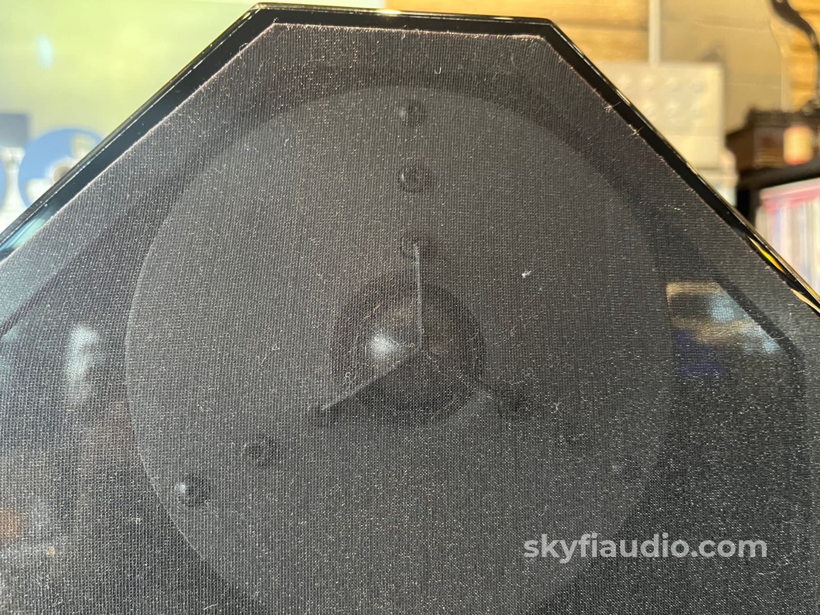 EgglestonWorks Andra II Speakers - Impressive Heavyweights, w/Free Shipping - Image 6