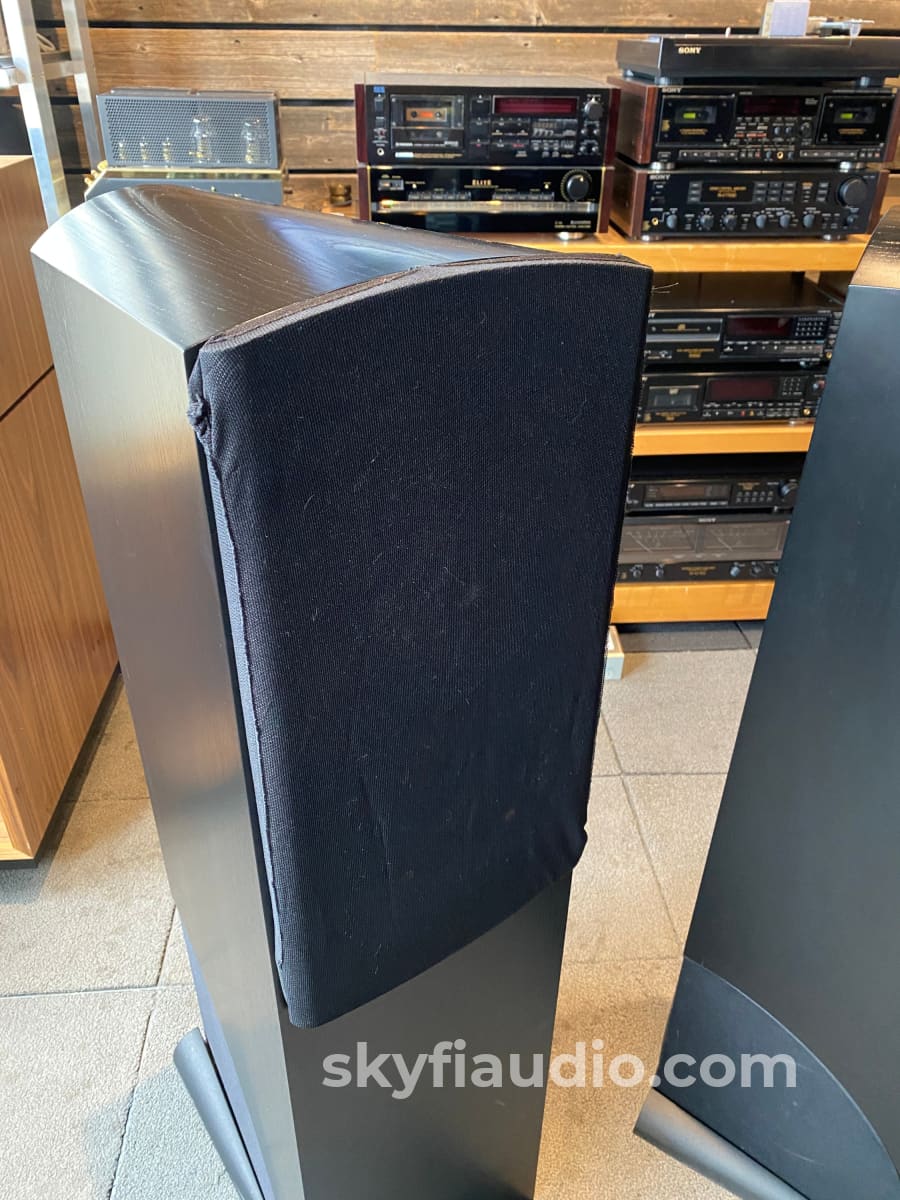 Naim NBL Speakers w/SNAXO Crossover and HiCap, Stereophile Favorite - Image 10