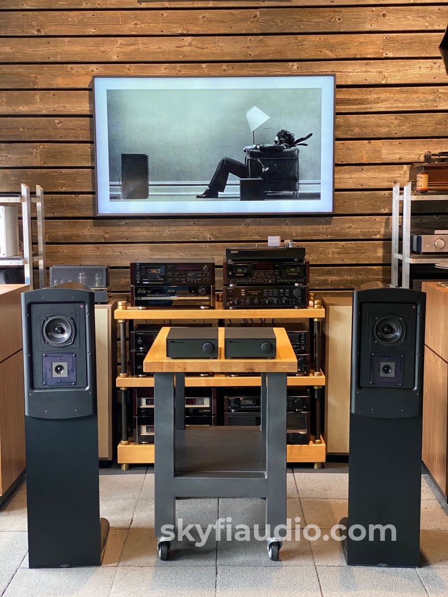 Naim NBL Speakers w/SNAXO Crossover and HiCap, Stereophile Favorite - Image 2