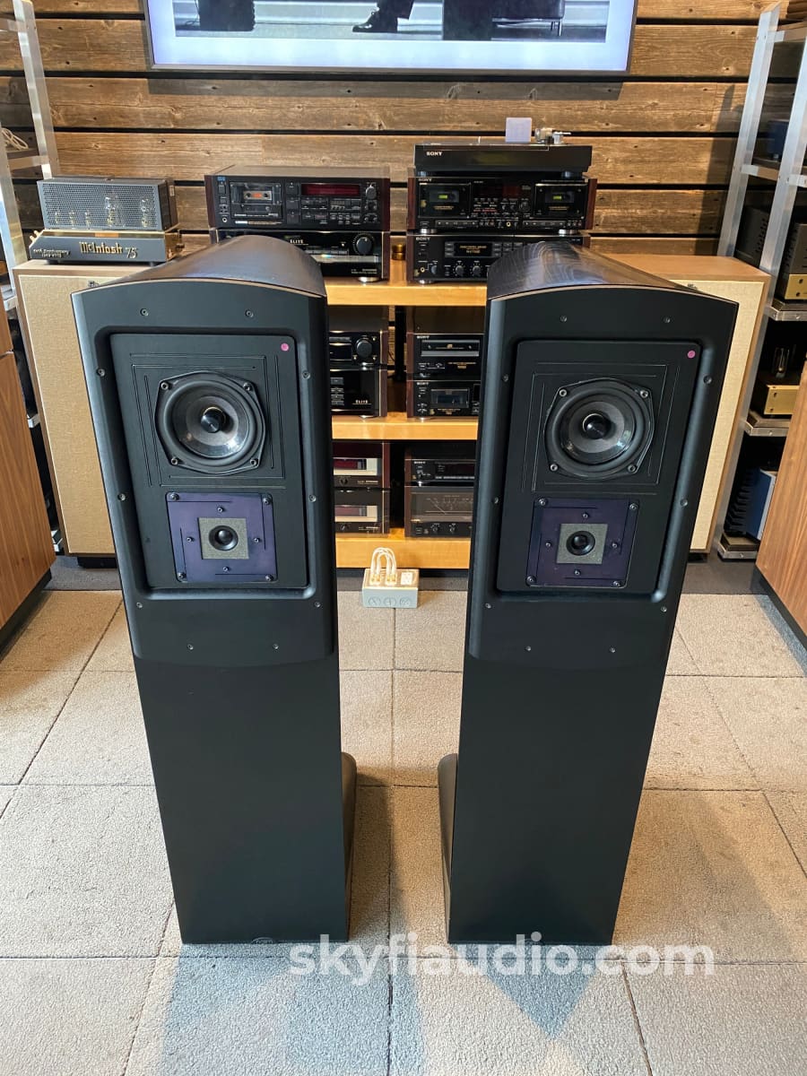 Naim NBL Speakers w/SNAXO Crossover and HiCap, Stereophile Favorite - Image 3