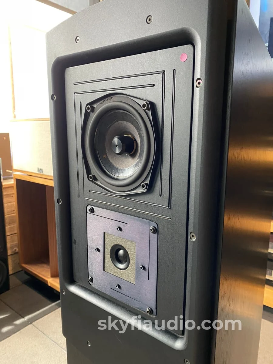 Naim NBL Speakers w/SNAXO Crossover and HiCap, Stereophile Favorite - Image 6