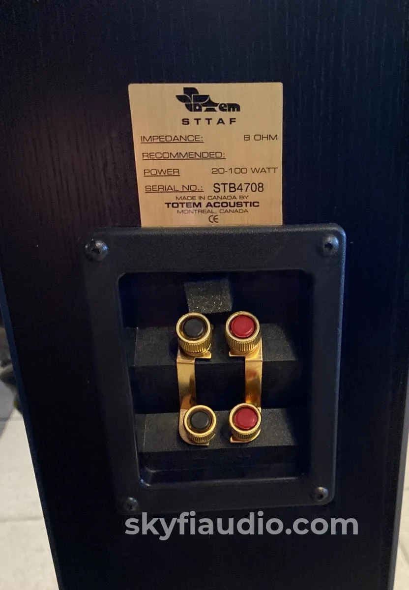 Totem Sttaf Floorstanding Speakers with Mite-T Center - Image 8